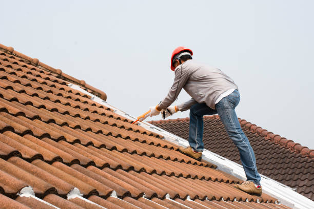 Best Solar Panel Roofing Installation  in Ridgely, TN