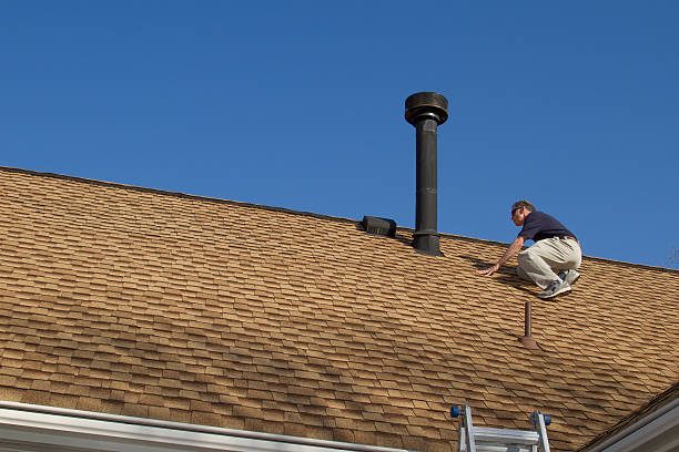 Best Roof Insulation Installation  in Ridgely, TN